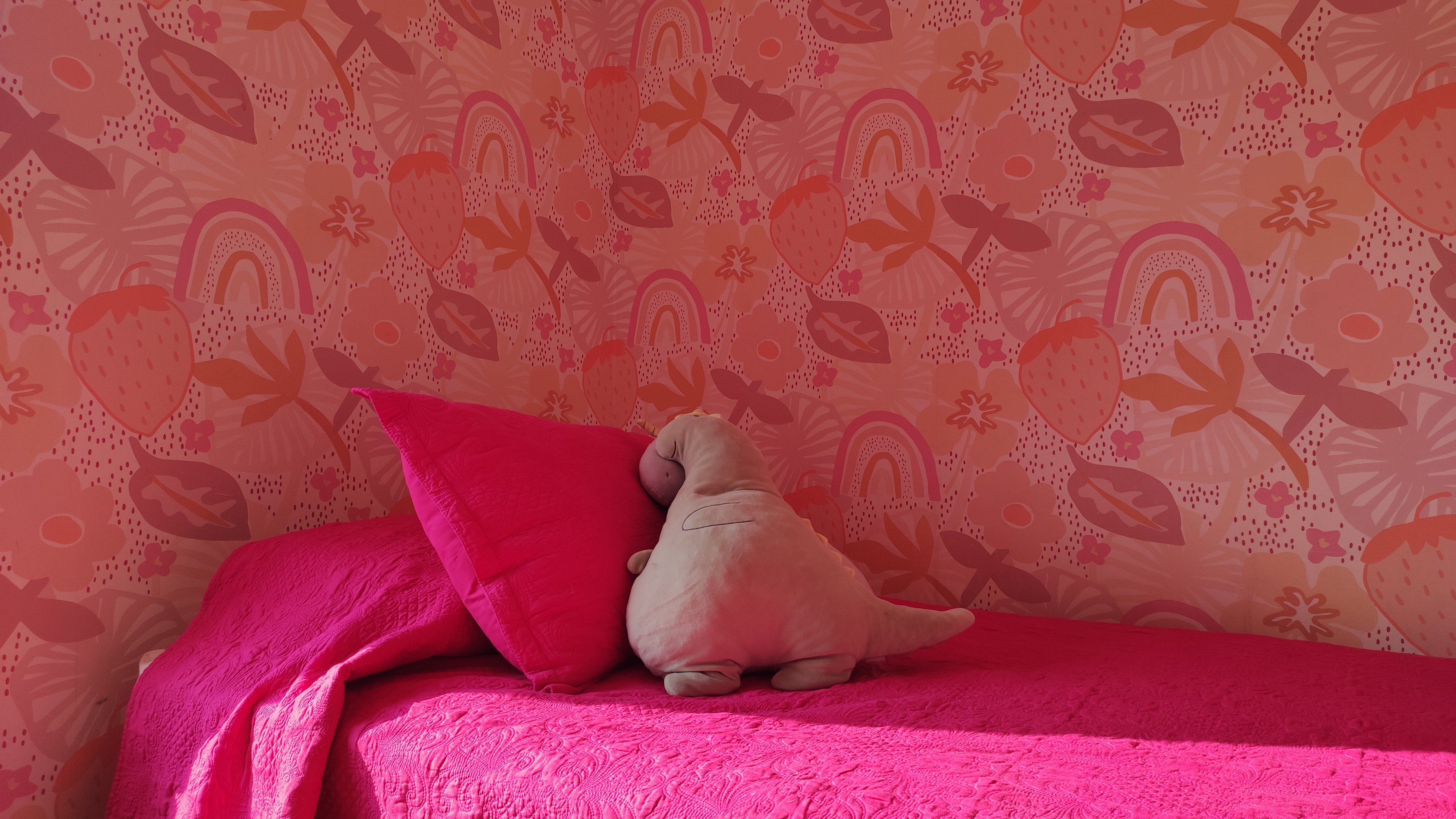 Cortina Roller Icono